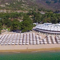 Tosca Beach ex Bomo