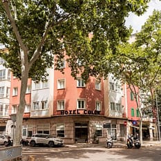Amic Colon