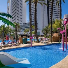 Flamingo Oasis
