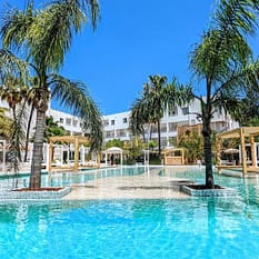 The Palm Star