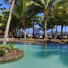 Ravintsara Wellness