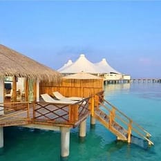 Safari Island