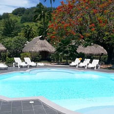 Hibiscus Moorea