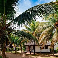 Cote Dor Lodge