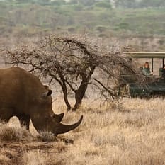 Kenia Tanzania Wyspa Zanzibar