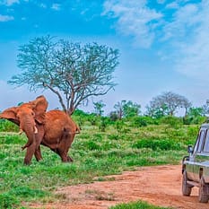 Afryka Dzika Prideinn Paradise Beach Resort