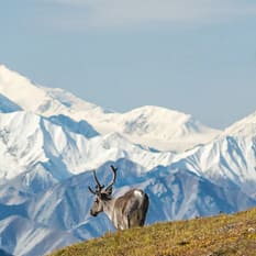 USA Alaska