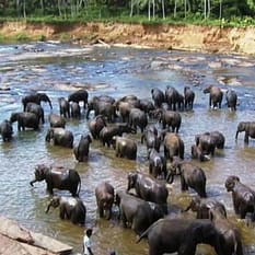 Sri Lanka Malediwy
