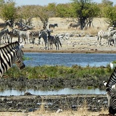 Namibia dla koneserów