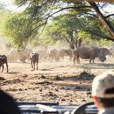 Namibia Botswana Zimbabwe