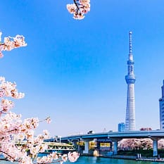 MSC Bellissima Rejs Chiny i Japonia z Szanghaju