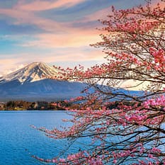 Japonia Między Kwiatem Wiśni a Błękitem Pacyfiku