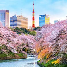 MSC Bellissima Rejs Japonia I Korea Południowa z Tokio