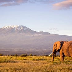 Kenia Tanzania