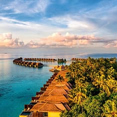 Esencja Cejlonu z wypoczynkiem na Malediwach