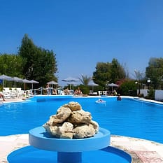 Venus Beach Gerani