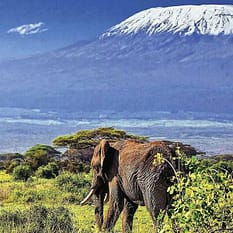 Kenijskie Trio The Sands at Chale