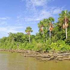 Wenezuela Indianie dżungla wodospady