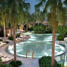 One and Only One Za abeel