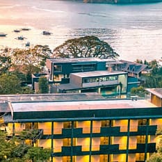 The Funny Lion El Nido