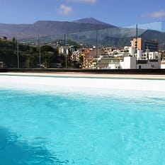 DWO Nopal by Checkin ex Checkin Nopal