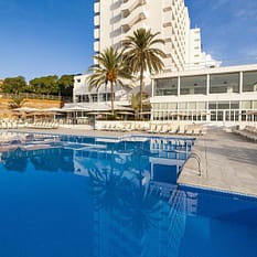 Globales Mimosa ex Hi Mimosa Park