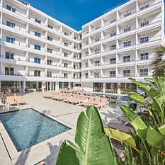 Ilusion Calma ex Calma