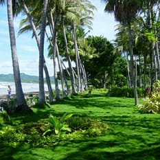 Tamarindo Diria Beach Resort