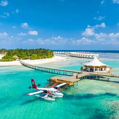 Cinnamon Hakura Huraa ex Chaaya