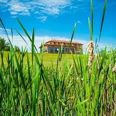 Spa Splendor Lubenia