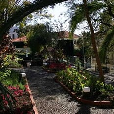 Arts In Conde Carvalhal