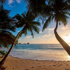 Anse Soleil Beachcomber