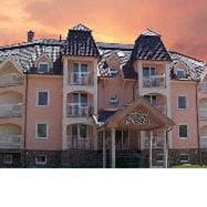 Orchidea Wielki Meder