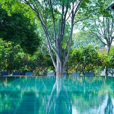 Amba Yaalu Kandalama