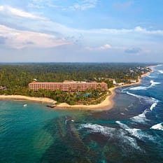 Hikka Tranz by Cinnamon ex Chaaya Tranz