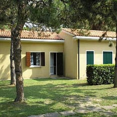 Michelangelo Bibione