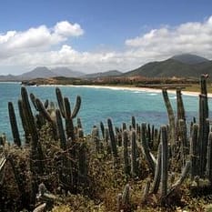 Wenezuela Karaibska Księżniczka Ameryki