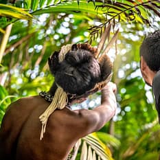 Między dżunglą a oceanem