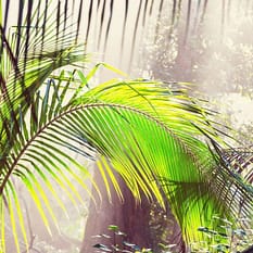 Panama wyspy Bocas del Toro Kostaryka