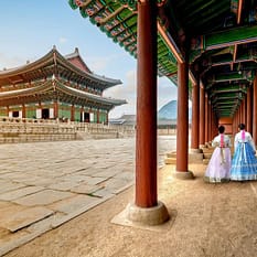 Oko w oko z azjatyckim tygrysem Premium