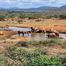 discovery Czerwona Ziemia i Mgły Kilimandżaro