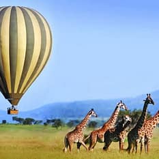 discovery Afrykańska Odyseja Mombasa Mara Naivasha