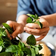 Podróże ze smakiem Kreta