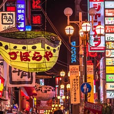 Chiny i Japonia Dwa oblicza Orientu