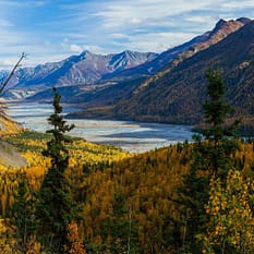 Kanada i Alaska Łosie i Łososie