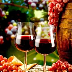 Z wizytą u Bahusa Festiwal Wina