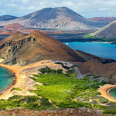 Galapagos Gala zwierząt