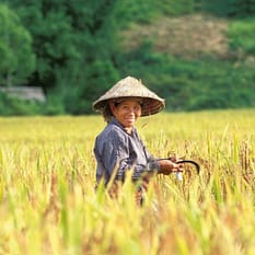 Good morning Vietnam